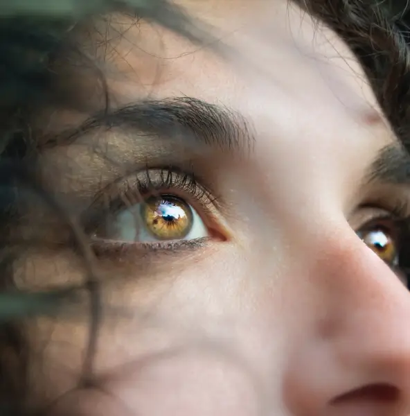 Vision